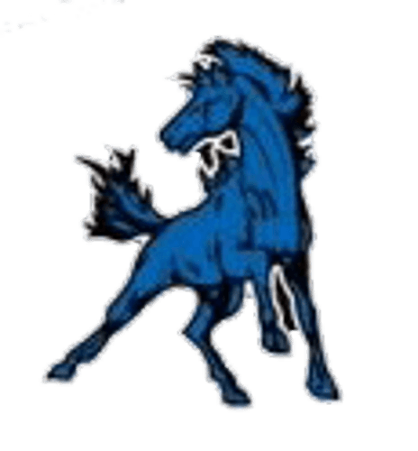 Buffalo Lake-Hector-Stewart Softball logo