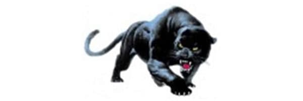 Durand-Arkansaw logo