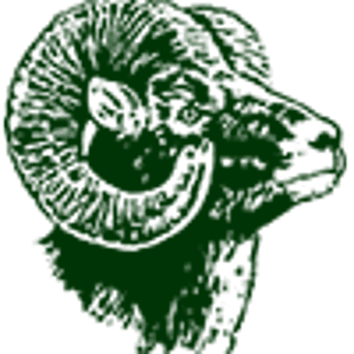 Roseau Softball logo