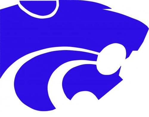 Eagan Boys Volleyball logo