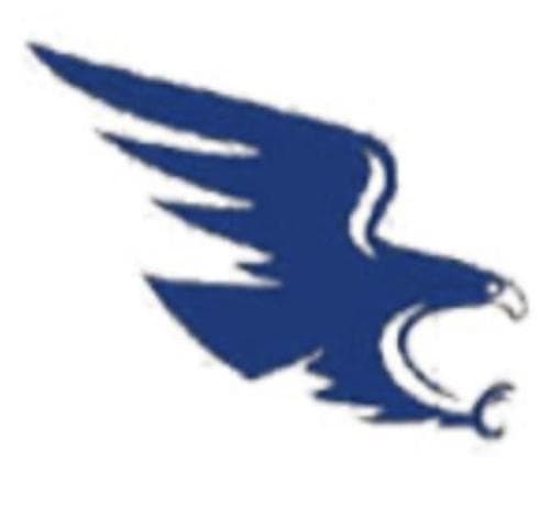 Hope Community Academy Boys Volleyball logo