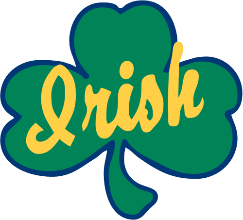 Rosemount Boys Volleyball logo