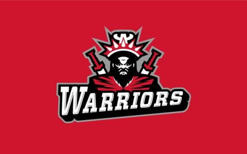 Hmong Academy Boys Volleyball logo