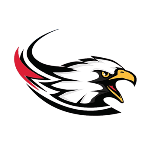Lac qui Parle Valley Football logo
