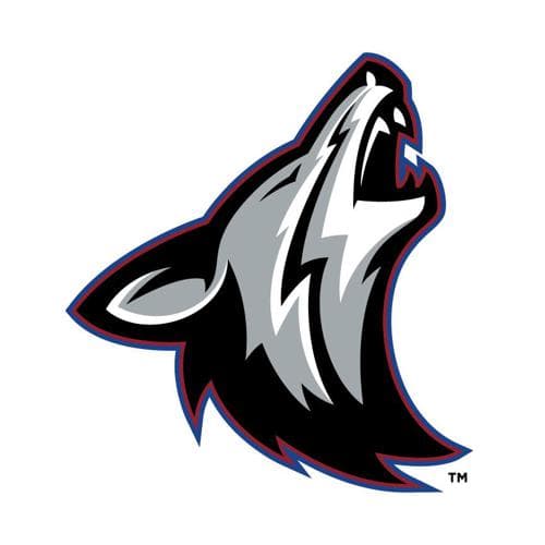 Heron Lake-Okabena/Fulda Football logo