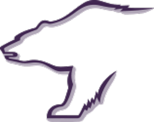 Floodwood Boys Basketball logo