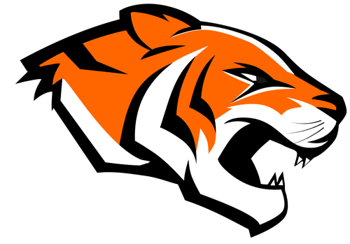 Morris Area/Chokio-Alberta Girls Volleyball logo