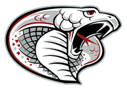 Triton/Kenyon-Wanamingo/Hayfield Girls Soccer logo