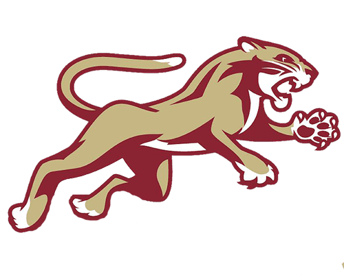 Lakeville South Boys Ice Hockey logo