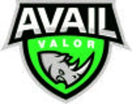 Avail Academy Boys Basketball logo