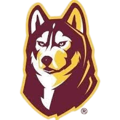 Pillager Football logo