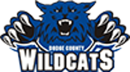 Dodge County Girls Ice Hockey logo