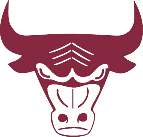 South St. Paul Girls Ice Hockey logo