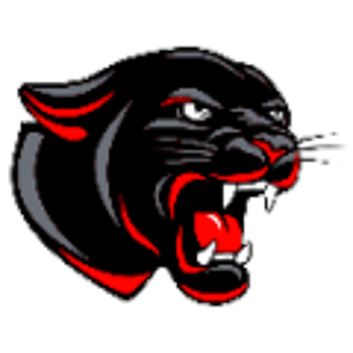 Tracy-Milroy-Balaton Boys Basketball logo