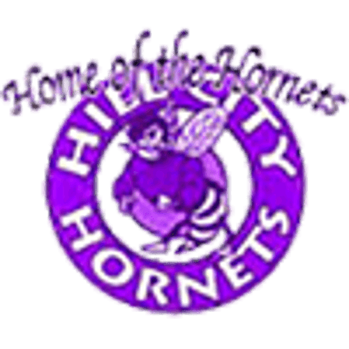 Hill City/Northland Girls Basketball logo