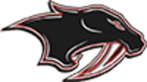 Shakopee Girls Basketball logo