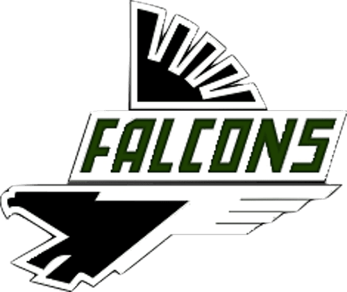 Faribault Girls Basketball logo