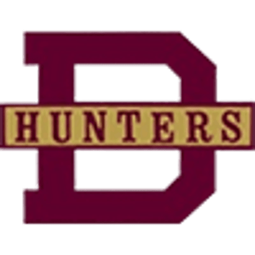 Duluth Denfeld Girls Basketball logo