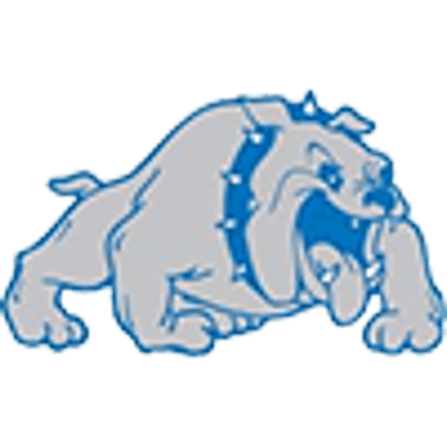 Swanville Girls Basketball logo