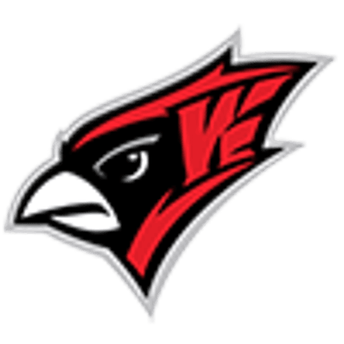 Willmar Girls Basketball logo