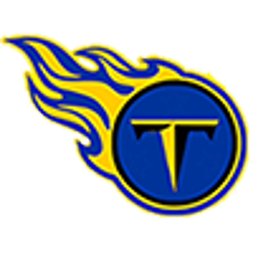 Norman County East/Ulen-Hitterdal Boys Basketball logo