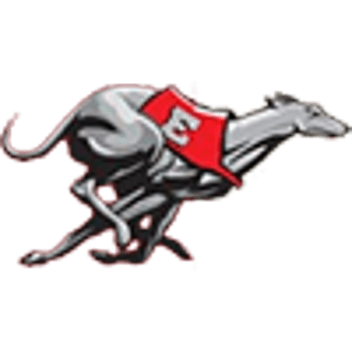 Duluth East Boys Basketball logo