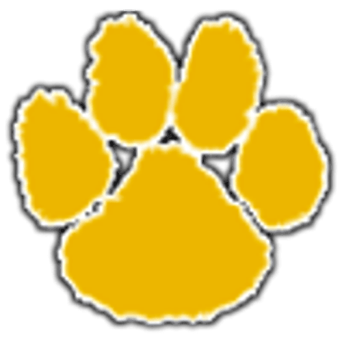 Thief River Falls Boys Basketball logo