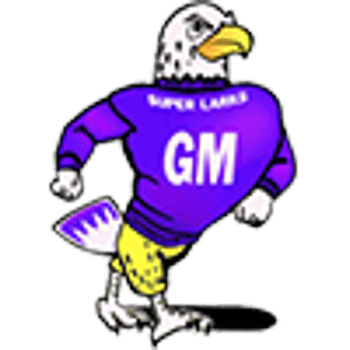 Grand Meadow Boys Basketball logo