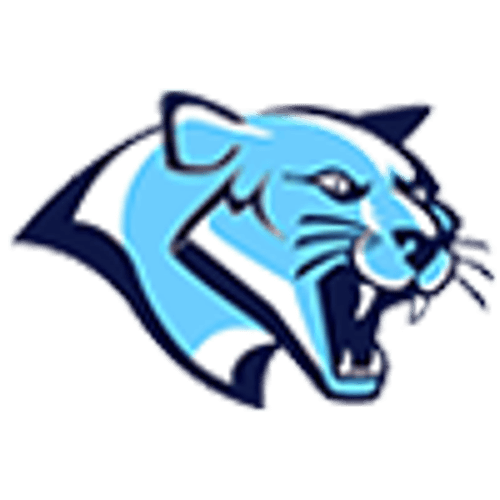 Cedar Mountain Boys Basketball logo