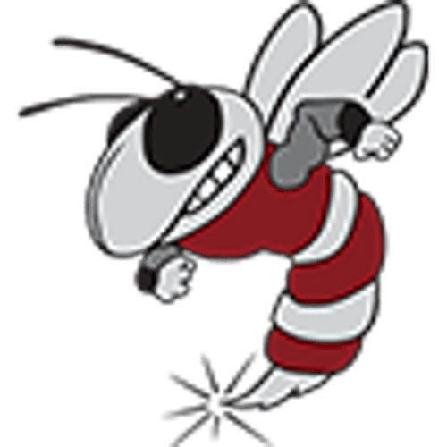 Yellow Medicine East Boys Basketball logo