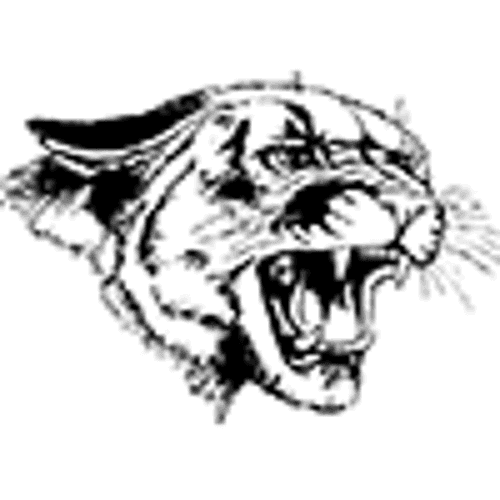 Mabel-Canton Boys Basketball logo