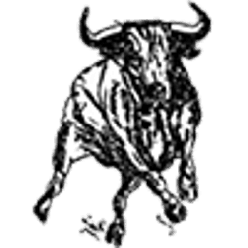 Martin County West Boys Basketball logo