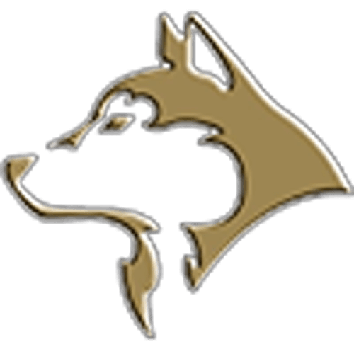 Andover Boys Basketball logo