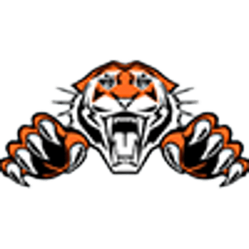 Pine River-Backus Baseball logo