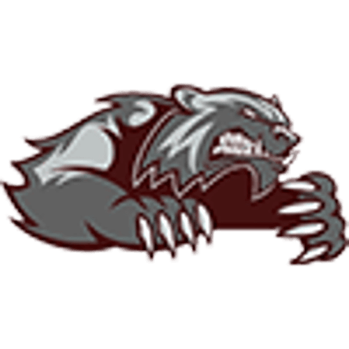 Mountain Lake Area/Comfrey Baseball logo
