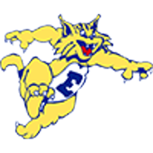 Minneapolis Edison Baseball logo