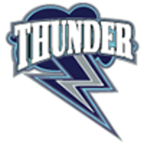 Zimmerman Softball logo