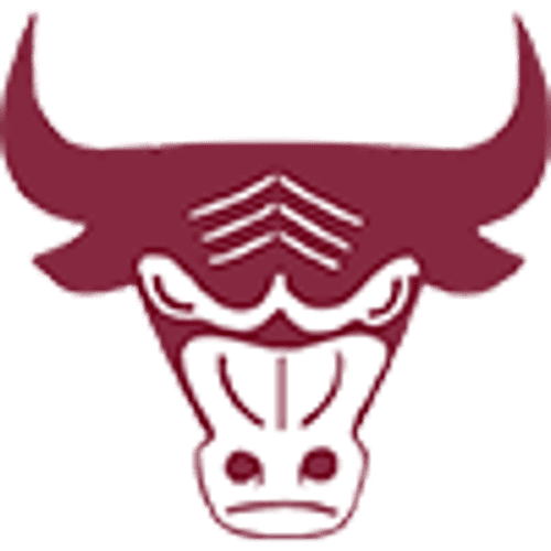 South St. Paul Softball logo