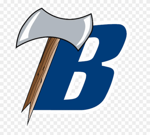 Bemidji Boys Volleyball logo