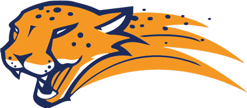 Metro Deaf School Boys Basketball logo