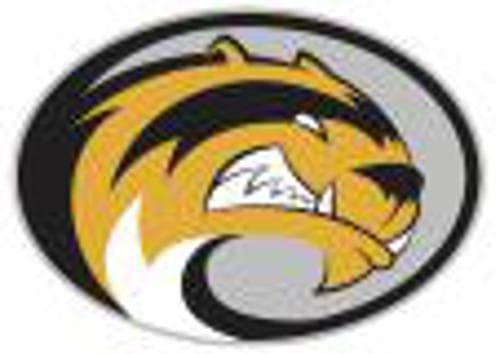 Sibley East Boys Basketball logo