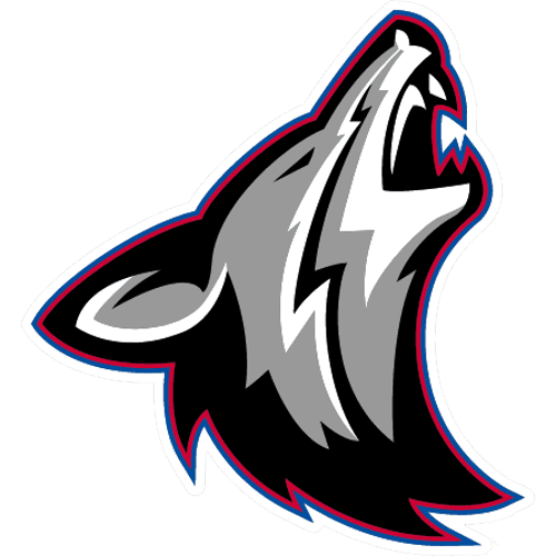 Heron Lake-Okabena/Fulda Girls Volleyball logo