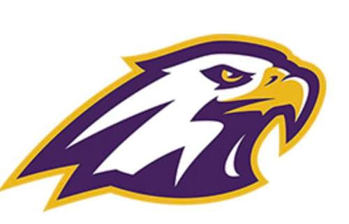 Rochester Lourdes Softball logo