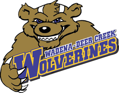 Wadena-Deer Creek Boys Hockey logo