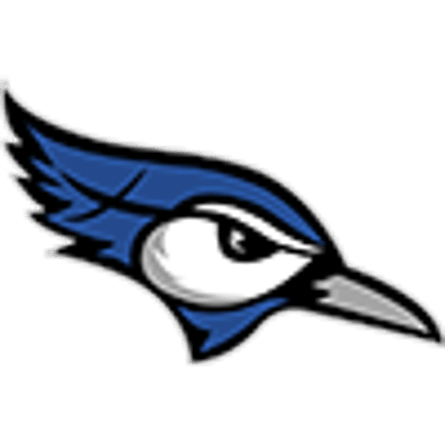 Central Minnesota Christian Baseball logo