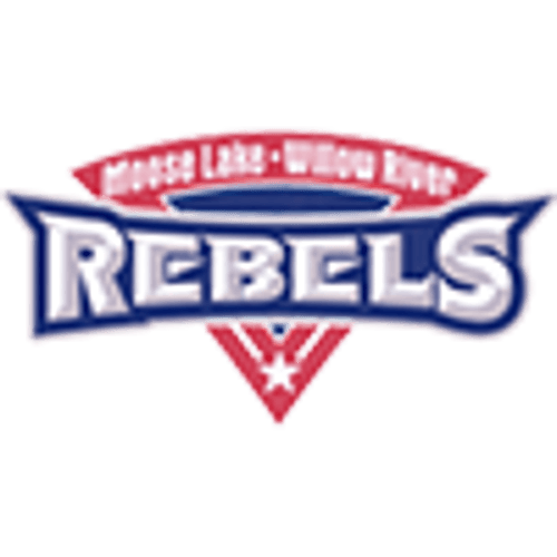 Moose Lake/Willow River Baseball logo