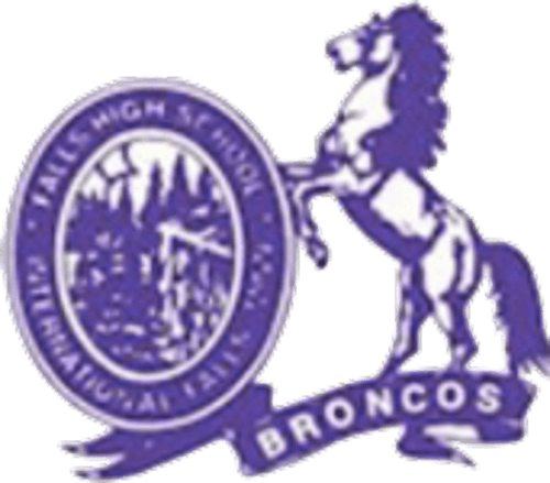 International Falls Football logo