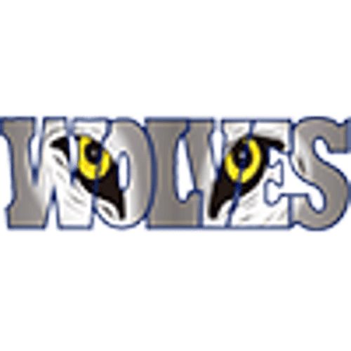 Walker-Hackensack-Akeley Girls Volleyball logo