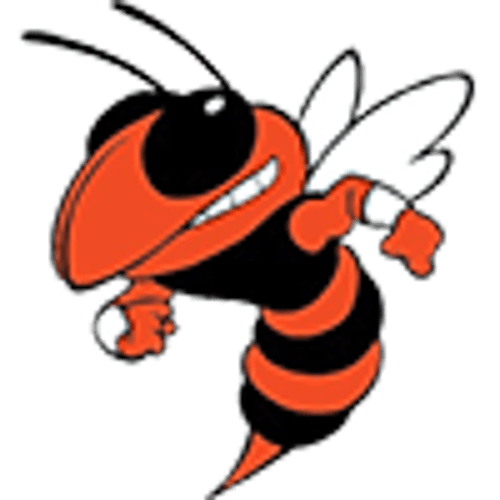 Henning Girls Volleyball logo