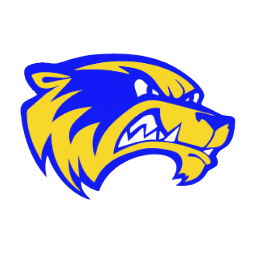 Wadena-Deer Creek Football logo